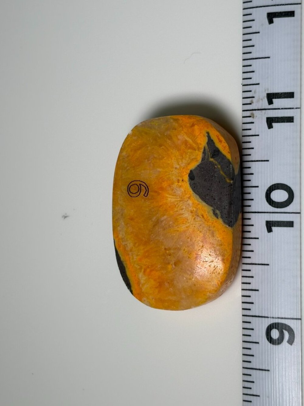 Bumblebee Jasper Polished Freeform Stone #6